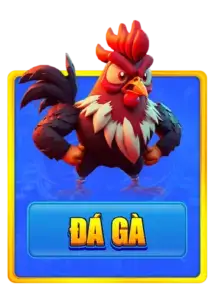 đá gà