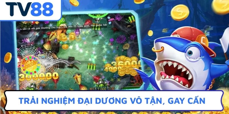 Trải nghiệm đại dương vô tận, gay cấn